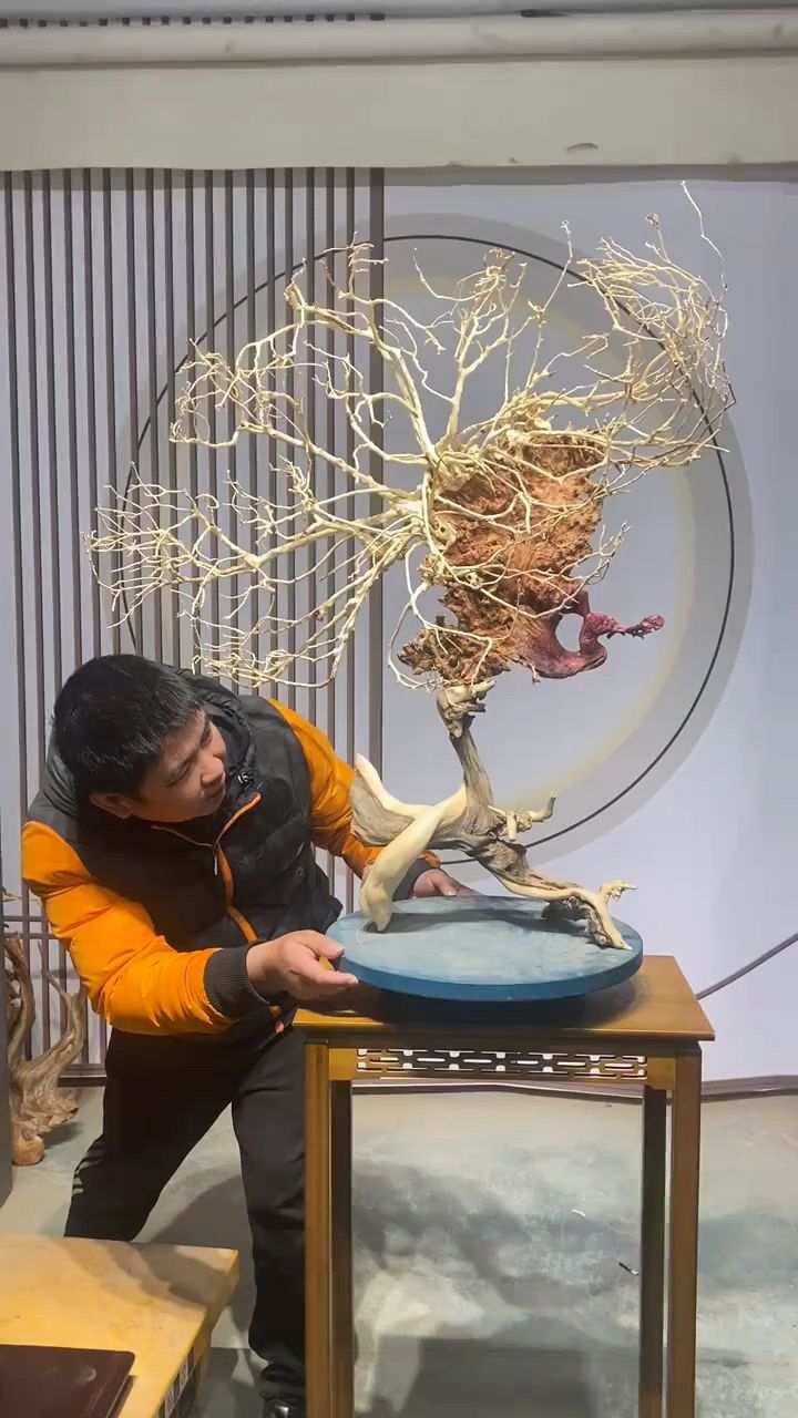 精湛技艺展示，令人赞叹不已